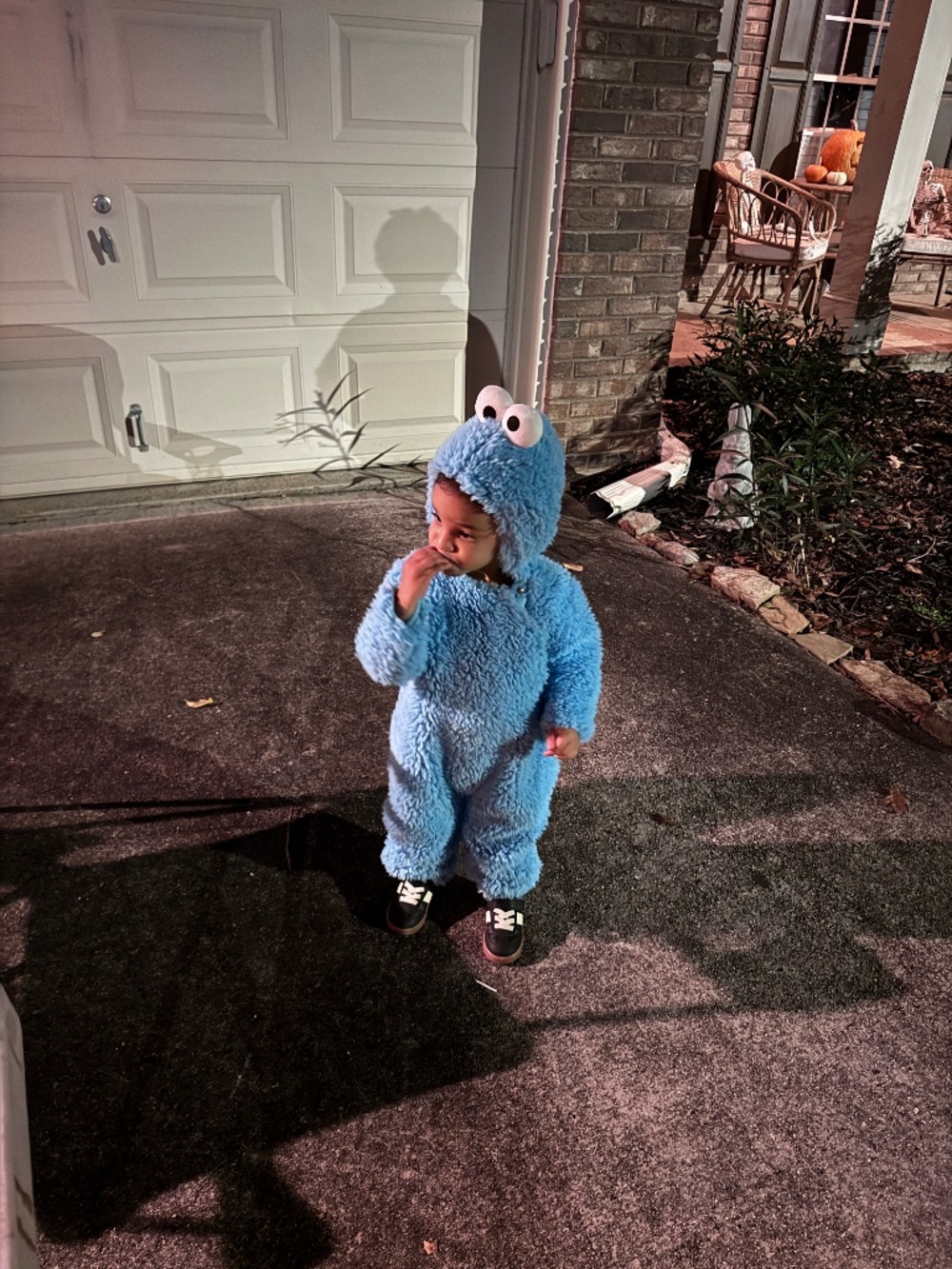 Pottery Barn Kids - Cookie Monster Costume